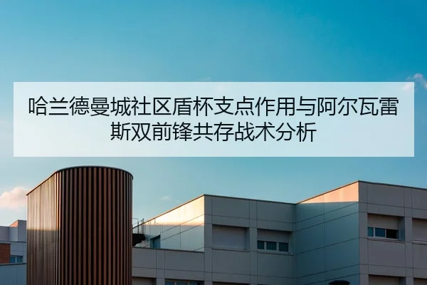 ha-lan-de-man-cheng-she-qu-dun-bei-zhi-dian-zuo-yong-yu-a-er-wa-lei-si-shuang-qian-feng-gong-cun-zhan-shu-fen-xi-3-763.jpg